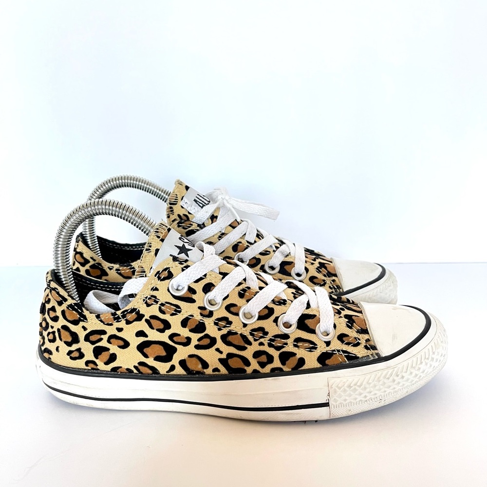 Lepoard converse all star